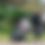Thumbnail: Universal Footmuff