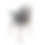 Thumbnail: Feed Me Orbit - Grey