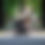Thumbnail: Push Me Urbana Stroller - Khaki